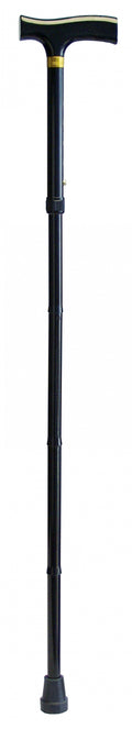 Folding Cane